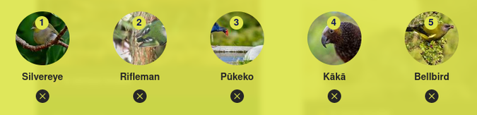 Bird of the Year voting card: Tauhou/Silvereye; Titipounamu/Rifleman; Pukeko; Kaka; Korimako/Bellbird